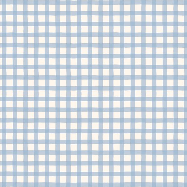 Little Gingham in Baby Blue