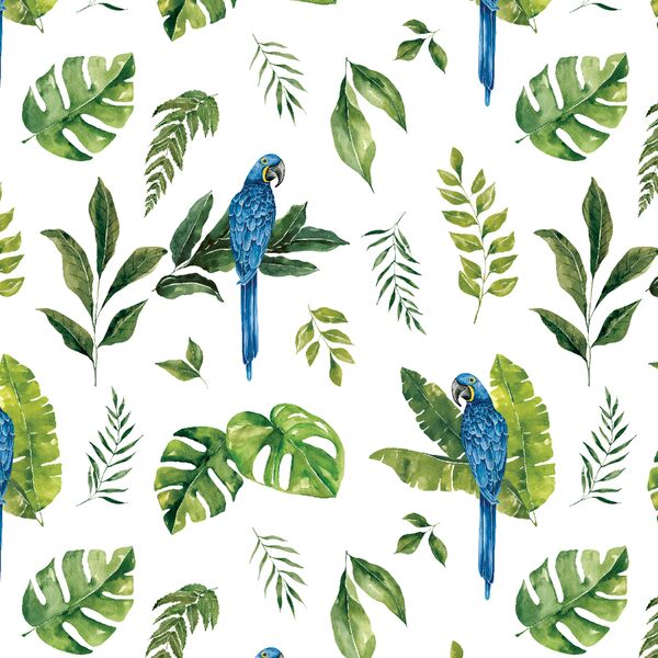 Jungle Macaw in White