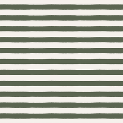 Stripe in Terra