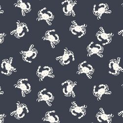 Crabs in Space Navy