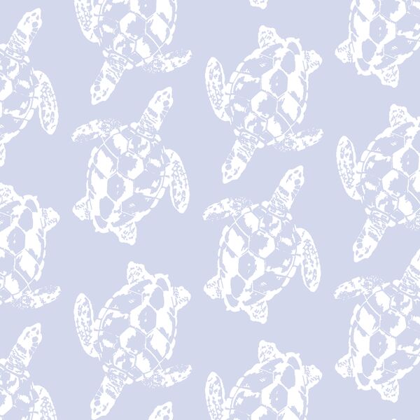Honu in Sky