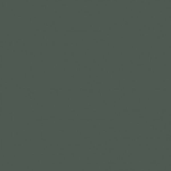 Solid in Dark Gray