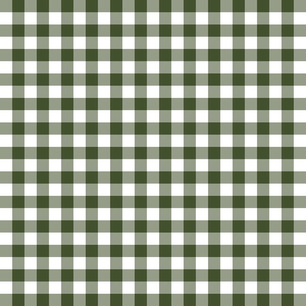 Gingham in Olive Green