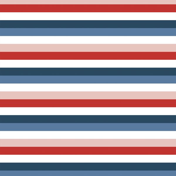 Rainbow Stripe in Liberty