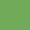 Confetti Cotton in Riley Green