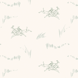 Jumping Impala in Baobob