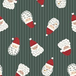 Santa in Duck Green