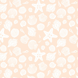 Sea Shells in Sandy