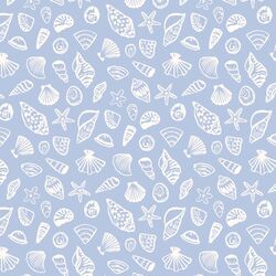 Seashells in Summer Day