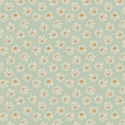 Susans in Pistachio