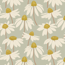Coneflower in Summer Sage