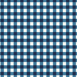 Gingham in Blue