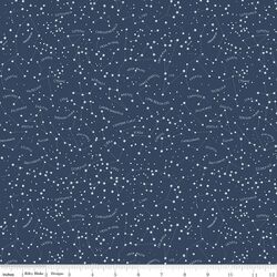 Constellations in Navy
