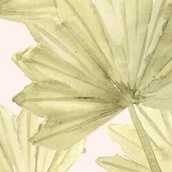 Large Dried Sun Palm in Dawn Pink