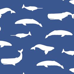 Whale Silhouette in Blue Jay