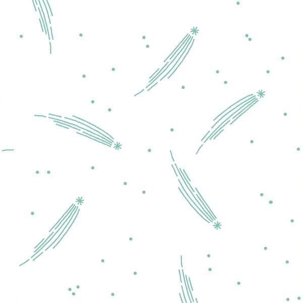 Meteor Shower in Succulent on White