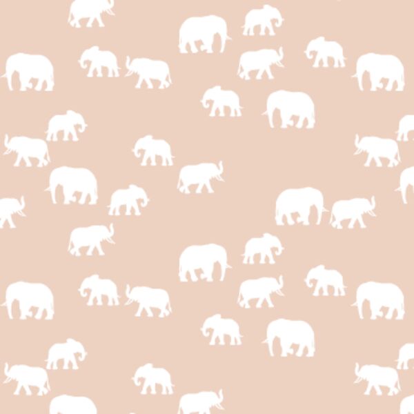 Elephant Silhouette in Shell