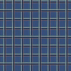 Check in Blue