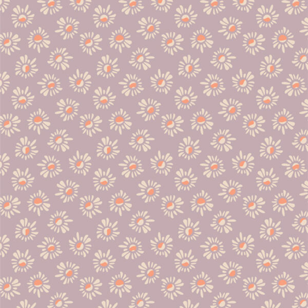 Susans in Lilac