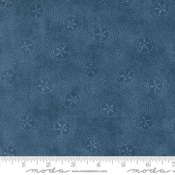 Sand Dollar Ripples in Ocean Blue