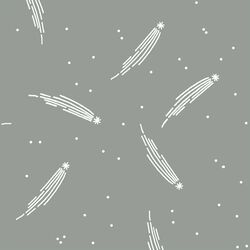 Meteor Shower in Sage