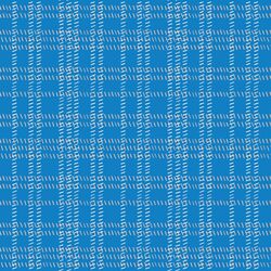 Summertime Plaid in Primary Blue