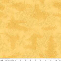 Shabby in Maize