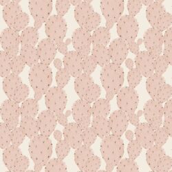 Cactus in Pink Sand