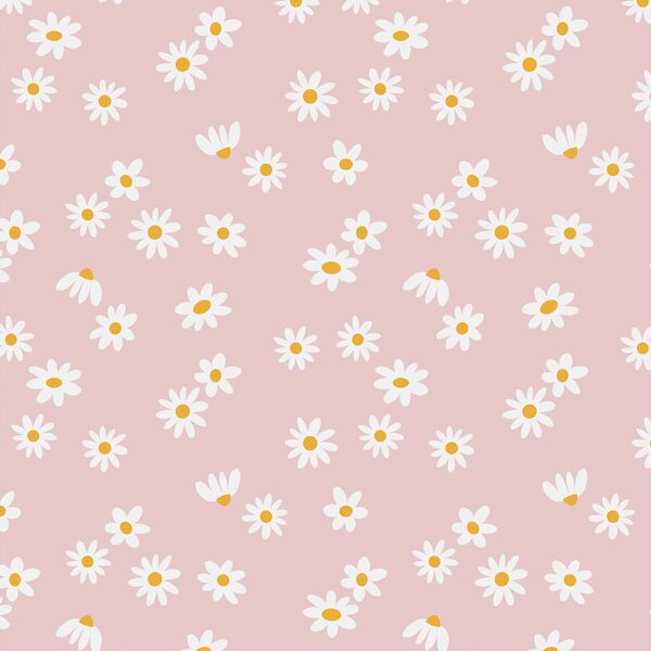 Retro Daisies in Blush