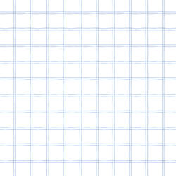 Plaid in Blue