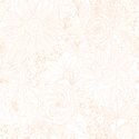 Paperie in Sunset Peach on White