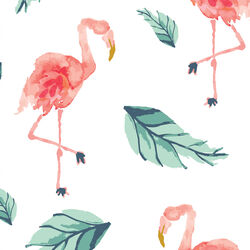 Large Flamingo Palm in Tropical