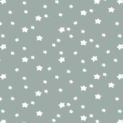 Star Light in Eucalyptus