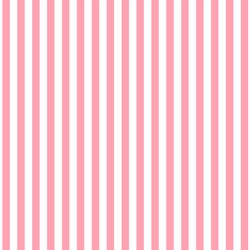 Dress Stripe in Rose Pink