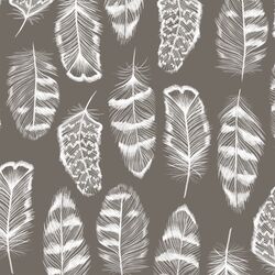 Plume in Stone