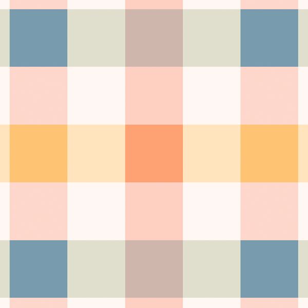 Multi Gingham in Vintage