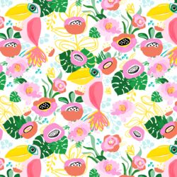 Calypso Toucans in White