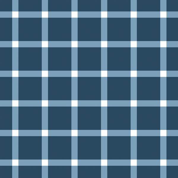 Large Liberty Gingham in Navy Blue