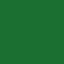 Solid in Dark Green