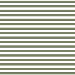 Horizontal Dress Stripe in Olive