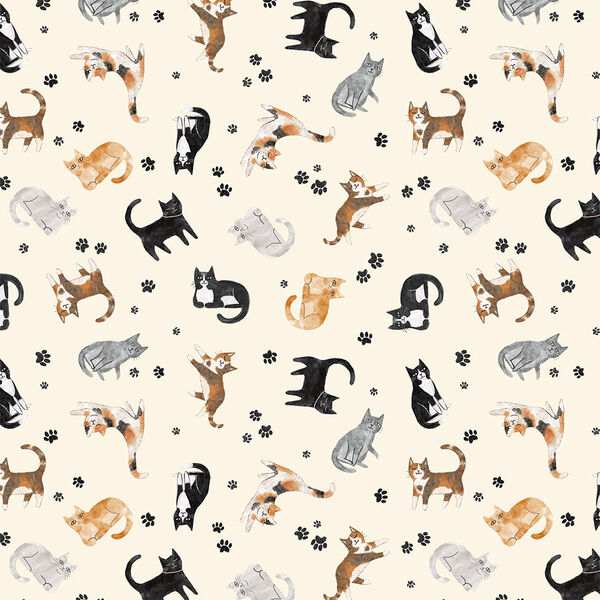 Tossed Cats in Cream