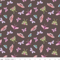 Moths in Brown