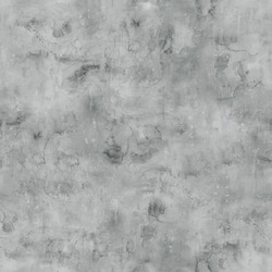 Tonal in Gray
