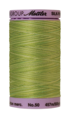 Little Spouts (9085-9817) - Silk Finish Cotton Multi 50wt - 500 Yards