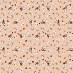 Scattered Shells in Coral