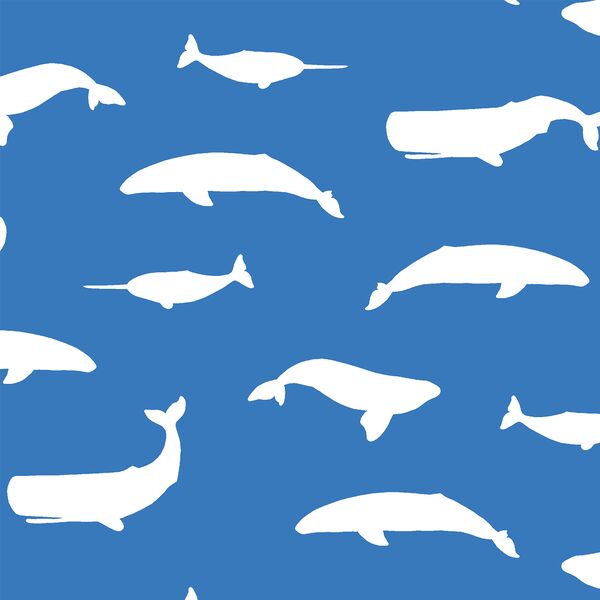 Whale Silhouette in Cerulean