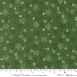 Snow Flurry in Evergreen