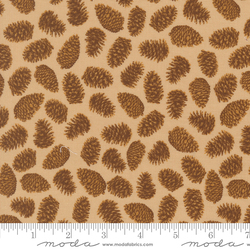 Pinecones in Sand