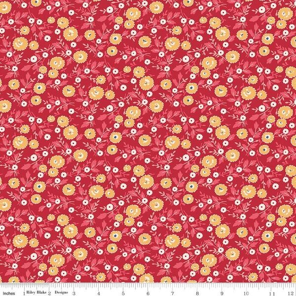 Freedom in Berry