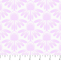 Coneflower in Lilac